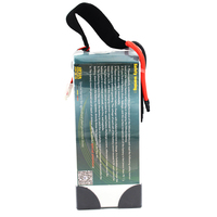 Batterie LiPo 25C grande capacité 20000mAh 22.2V 11.1V, packs de batteries personnalisés pour drones, batteries industrielles pour UAV, batteries de véhicules