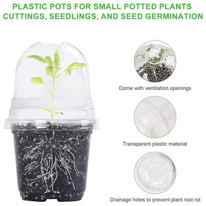 Pot de pépinière de plantes moderne avec <span class=keywords><strong>d</strong></span>ôme transparent Jardinière en plastique transparent avec trou de drainage Jardinière succulente Pot de <span class=keywords><strong>d</strong></span>épart de <span class=keywords><strong>graines</strong></span> - Product Image 4