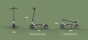 Trottinette Urbaine A1 en Stock UE, 48V 13Ah, Autonomie 45KM, Pneus à Vide 10 Pouces, Amortisseurs à Remplissage de Colle, Écran LED, Pliable - Product Image 6