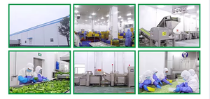 HACCP中国冷冻蔬菜水果优质糯性冷冻菜芋 - Product Image 6