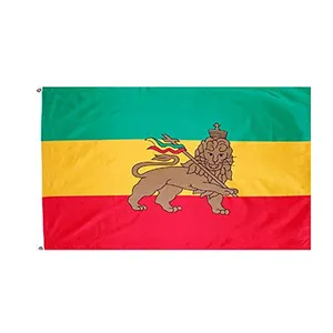 2023 Atacado Single Sided Custom 3x5ft 4X6FT Campanha de Impressão Digital Todos os Países Bandeiras de Leão da Etiópia