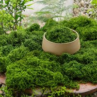 Mousse de Sphagnum Artificielle Shangchu pour Gazon, Pelouse, Aménagement Paysager – Mousse Filamentuse Verte, Durable et Écologique