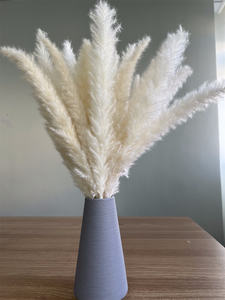 Image de <span class=keywords><strong>fleurs</strong></span> <span class=keywords><strong>séchées</strong></span>, 20 pièces par lot, de haute qualité, pour arrangement floral, <span class=keywords><strong>bouquet</strong></span> de roseaux des marais blancs - Product Image 6