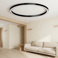 Lustre SUEZ moderne à LED dimmable 3000K pour intérieur, suspension commerciale en forme d'anneau, personnalisé pour café, en acrylique