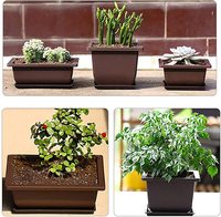Pots à bonsaï en plastique et pots avec plateau, pot à bonsaï avec plateau