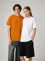 Camisetas Deportivas Casuales Personalizadas OEM/ODM para Hombre, Transpirables, Estilo Retro, para Verano, Camisetas Deportivas de Manga Corta para Entrenamiento