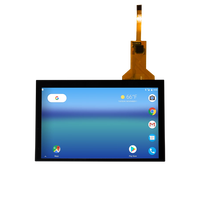 Maßgefertigter 5-Zoll-Touchscreen für Raspberry Pi, Kleines TFT-LCD-Panel-Display