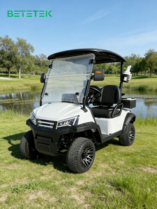 Voiturette de golf électrique compacte 2 places, silencieuse, pour les loisirs et les trajets sur le parcours de golf, prix usine pour les routes non publiques - Product Image 1