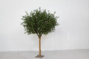 Simulation personnalisée grand hôtel décoration de jardin à feuilles persistantes <span class=keywords><strong>géant</strong></span> méditerranéen artificiel grand olivier avec de faux fruits - Product Image 5