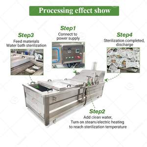 Máquina de Túnel Pequeño para Pasteurización de Carne, Vegetales Enlatados y Productos en Latas de Aluminio - Product Image 5