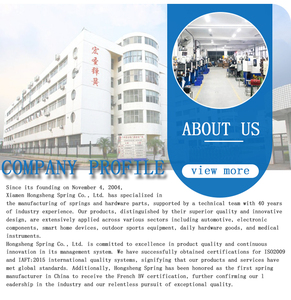 Tùy chỉnh nhỏ cuộn dây Xoắn mùa xuân - Product Image 4