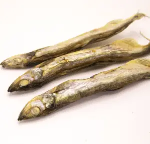 Petiscos de alta qualidade peixes liofilizados para comida de gato barata à venda