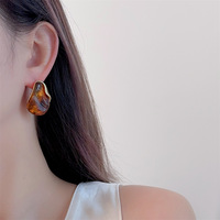Avancé élégant ambre résine acrylique boucles d'oreilles femmes léger luxe Niche alliage couture 2025 nouveaux accessoires d'oreille