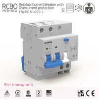 Interruptor Diferencial RCBO 2P 63A, Cobre, Capacidad de Interrupción 10kA, Tipo Electromagnético AC, Uso Industrial y Doméstico