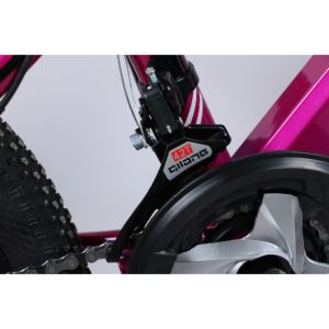 Bicicleta de Montaña de Nuevo Diseño, <span class=keywords><strong>Aro</strong></span> 18 Pulgadas, <span class=keywords><strong>20</strong></span> Pulgadas, 21 Velocidades, Sistema de Frenos de Disco - Product Image 5
