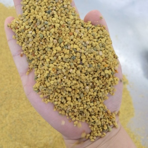 Pólen de Abeja Natural Mezclado con Pólen de Colza - Suplemento de Grado Alimenticio para Nutrición Diaria, Venta al Por Mayor - Product Image 2