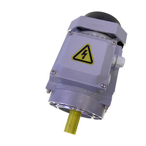 محرك pmsm ثلاثي الطور من النحاس النقي 50 هرتز و 2 عمود من ثلاث مراحل - Product Image 1