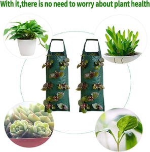 Bolsas Colgantes de PE para Cultivo de Fresas/Bolsas Verticales para Cultivo de Plantas/Macetas para Flores con Nutrientes - Product Image 1