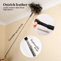Plumeau à plumes d'autruche réutilisable à manche long de 120 cm, extensible, pour le nettoyage des ventilateurs, des lampes suspendues et la dépoussiérage domestique