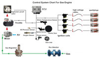 Turbine à vapeur électrique, Générateur GPL 10-11kW, Refroidissement par eau et air, Télécommande