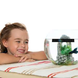 Termômetro de cristal líquido autoadesivo, tiras autoadesivas sensíveis para quarto de aquário - Product Image 6