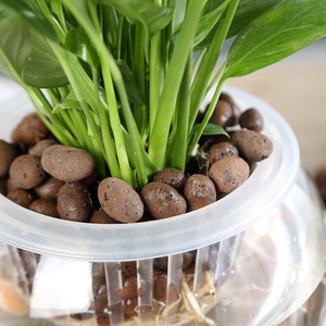 Argile de Galets de 10-14 mm, Boules d'Argile Céramique de Haute Qualité pour Plantes en Pot de Jardin, Non Toxiques, Bon Prix, Origine Chine - Product Image 5