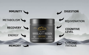 OEM ODM Marca Privada 60g Ungüento de Resina de Shilajit del Himalaya Natural para Energía y Apoyo Sanguíneo - Product Image 2