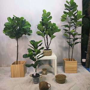 Vero aspetto e tocco falso Bonsai pianta da interno piccolo Ficus artificiale Fiddle <span class=keywords><strong>fico</strong></span> albero per tavolo scrivania Decor - Product Image 6
