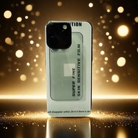 Coque arrière de haute qualité en gros pour Iphone 16 Pro Max téléphone portable film protecteur givré sensible à la peau pour peau d'autocollant mobile