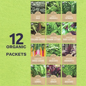 Légume vert biologique non-OGM pour <span class=keywords><strong>la</strong></span> moutarde de chardonnay suisse, sachet de légumes verts d'intérieur sains pour <span class=keywords><strong>la</strong></span> nouvelle saison, 12 unités individuelles à suspendre - Product Image 5