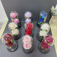 Nouveau design La Belle et la Bête Rose Roses éternelles conservées en gros avec lumières LED dans un dôme en verre à vendre