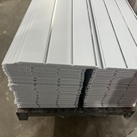 Panel de Techo de PVC de Dos Ranuras a Precio de Fábrica, Fácil de Instalar, Panel de Techo Interior de PVC para Sala de Estar y Dormitorio