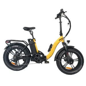 QUEENE/7 Geschwindigkeit 20 Zoll Fett reifen Elektro fahrrad 48v 750w Doppel motor Batterie Elektro-Cargo-Bike-Roller