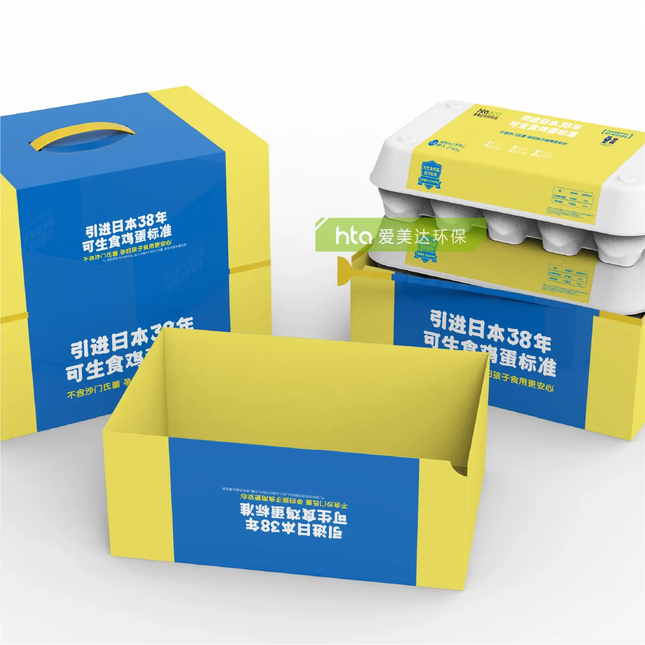 Vassoio di carta per uova in polpa di bagassa di canna da zucchero modellato biodegradabile compostabile al 100% personalizzato HTA