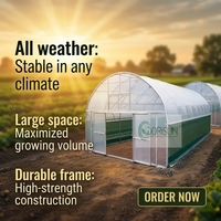 Film plastique pour serre tunnel de haute qualité à structure simple et économique pour légumes et fleurs