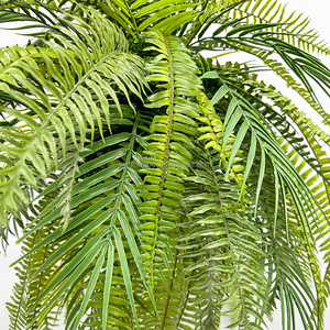 Gran oferta <span class=keywords><strong>de</strong></span> plástico verde plantas tropicales Boston helecho espada helecho cesta colgante para decoración <span class=keywords><strong>de</strong></span> boda - Product Image 4