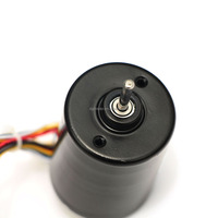 Moteur électrique BLDC R3650BL 36 mm 12 V 24 V 6000 tr/min, durable, réversible, avec capteur d'encodeur à effet Hall, longue durée de vie pour pompe à valve