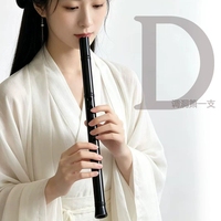 Flûte Xiao en résine à 6 trous, clés G F C, anti-fissuration, style ancien, flûte chinoise pour débutants adultes et performances