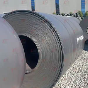 Bobines d'acier au carbone laminées à froid de meilleure qualité de vente de quantité minimale de commande bas - Product Image 3