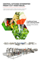 Línea de Producción de Vegetales con Certificación CE, Línea Multifuncional de Procesamiento de Vegetales de Raíz, Planta de Procesamiento de Vegetales