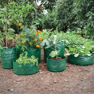 Nouveaux sacs de culture de la meilleure qualité 	 Sacs de culture en HDPE/LDPE stabilisés aux UV, disponibles en différentes tailles. - Product Image 1