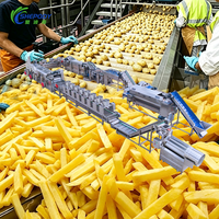 Ligne de production automatique de frites et de chips Shepody personnalisée 1000 kg/h, machine à faire des frites en acier inoxydable 304