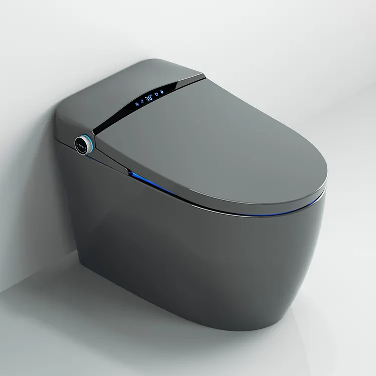 Grey color japan one piece wc 2021 ceramic 110V/220V hygienic full automatic flush sensor intelligent toilet bowl smart toilet