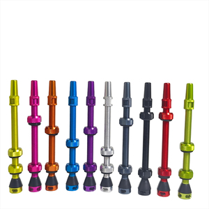 Valve de vélo en aluminium 7075, tiges de valve tubeless 40mm, 44mm, 55mm, 60mm, <span class=keywords><strong>clé</strong></span> à <span class=keywords><strong>rayons</strong></span> et capuchons de retrait de valve compatibles - Product Image 1