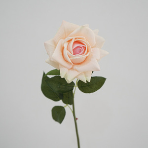 H-534 Vente chaude <span class=keywords><strong>Rose</strong></span> artificielle à toucher <span class=keywords><strong>r</strong></span>éel, tige de <span class=keywords><strong>rose</strong></span> colorée, pour Halloween et la Saint-Valentin, roses en gros direct usine - Product Image 6