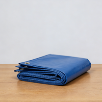 Rouleau de bâche PE enduite personnalisable 100gsm 200gsm avec œillets, robuste et résistant aux déchirures pour abri de voiture et camping