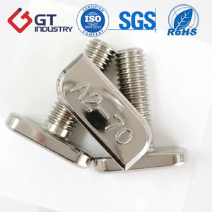 Bullone a Testa a <span class=keywords><strong>T</strong></span> Personalizzato in Acciaio Inox 316/304 DIN188 - Product Image 6