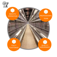 Équipement automatique en acier galvanisé pour poules pondeuses en batterie, cages pour poulets de ferme avicole, vente chaude