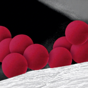 Perlas de Poliestireno Carboxilado Funcionales en Tres Colores Clásicos para Soluciones de Detección Visual - Product Image 1