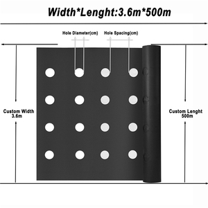 Perforated PE Agricultural Mulching Film, Thermal Insulation Ground Cover for Soil Moisture Retention - Product Image 4